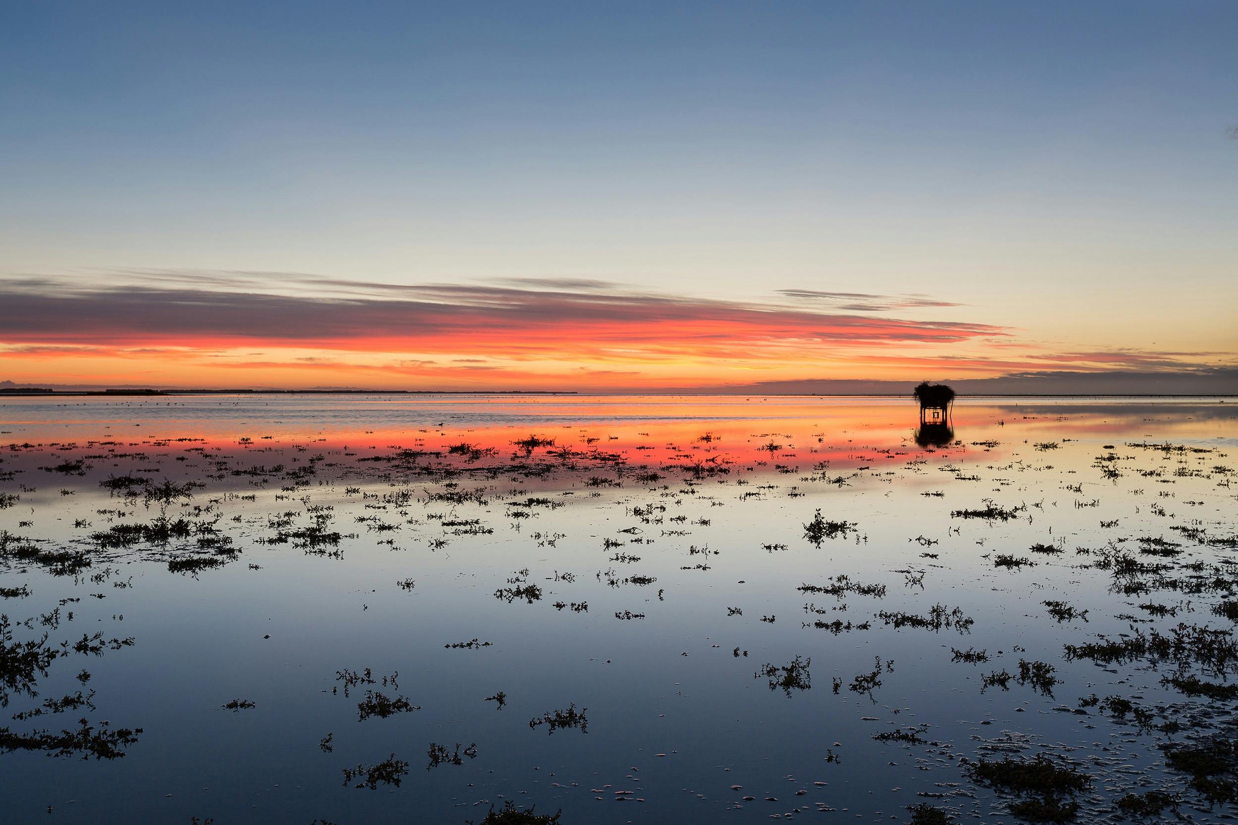 Lake Ellesmere